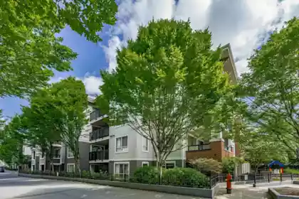 A304 8929 202 Street, Langley, BC, Langley — Apartment/Condo for sale