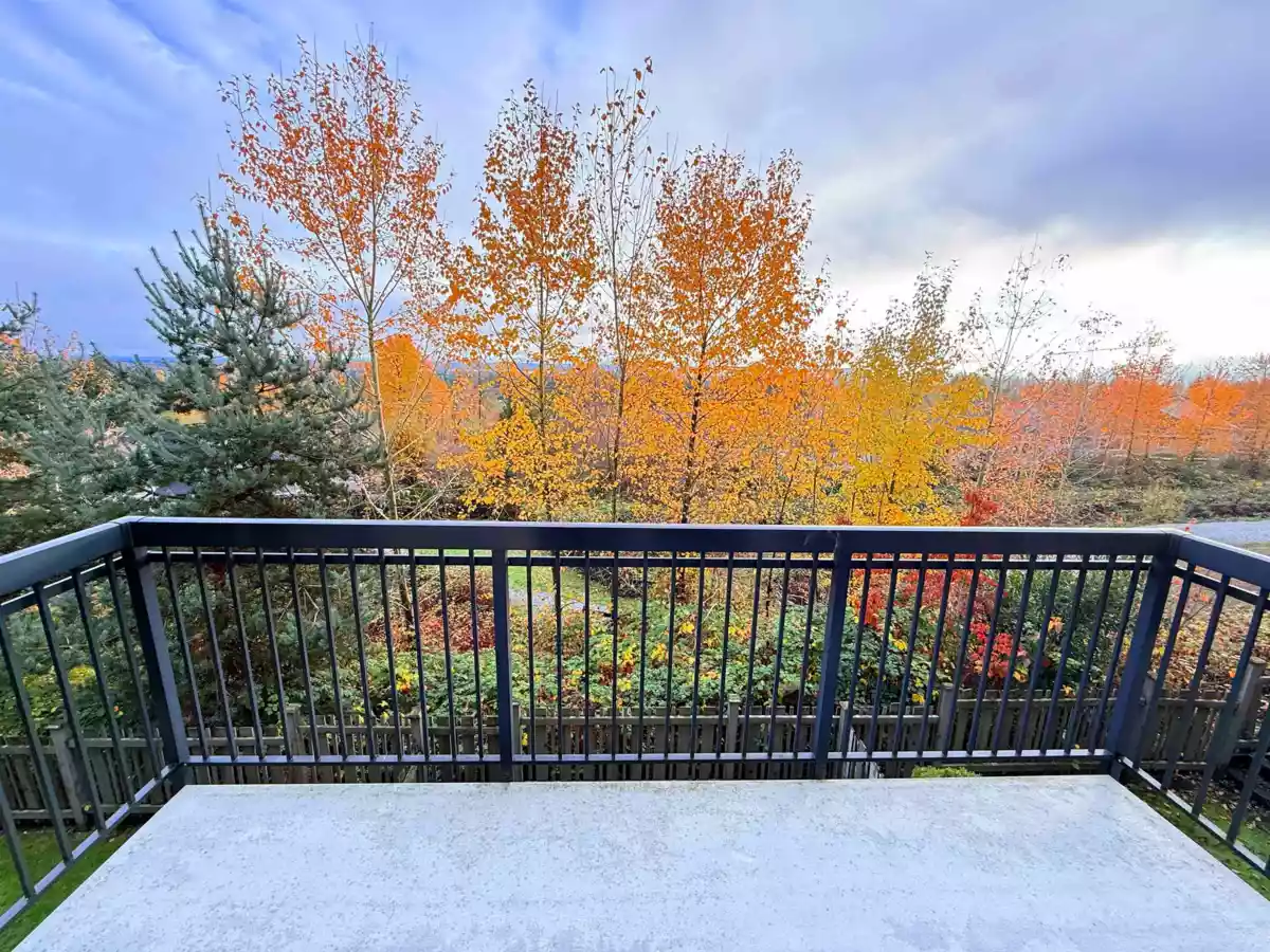 Backyard Photo of 46 1295 Soball Street, Coquitlam, BC