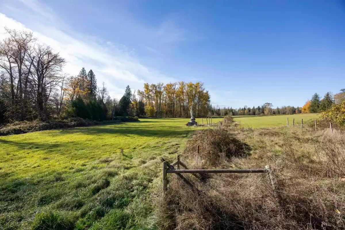 Neighborhood Park Photo Near 321 248 Street, Langley, BC