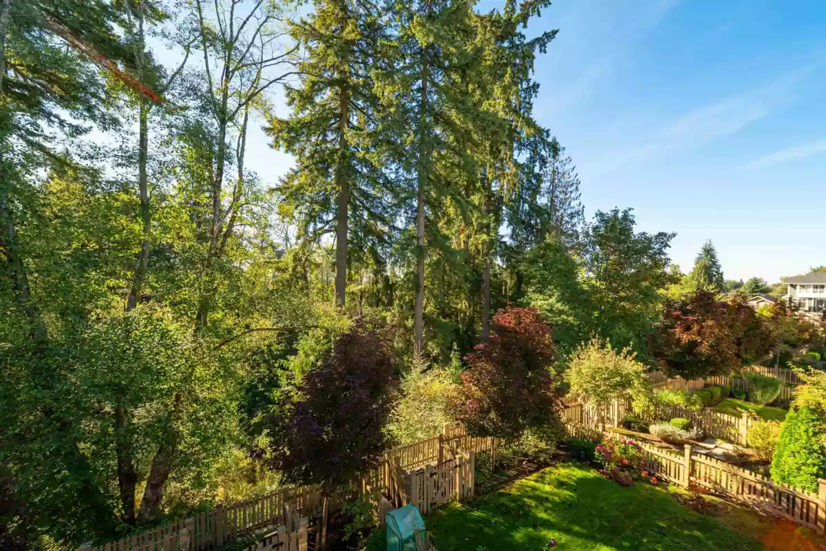 Breakfast Nook Photo of 66 24108 104 Avenue, Maple Ridge, BC