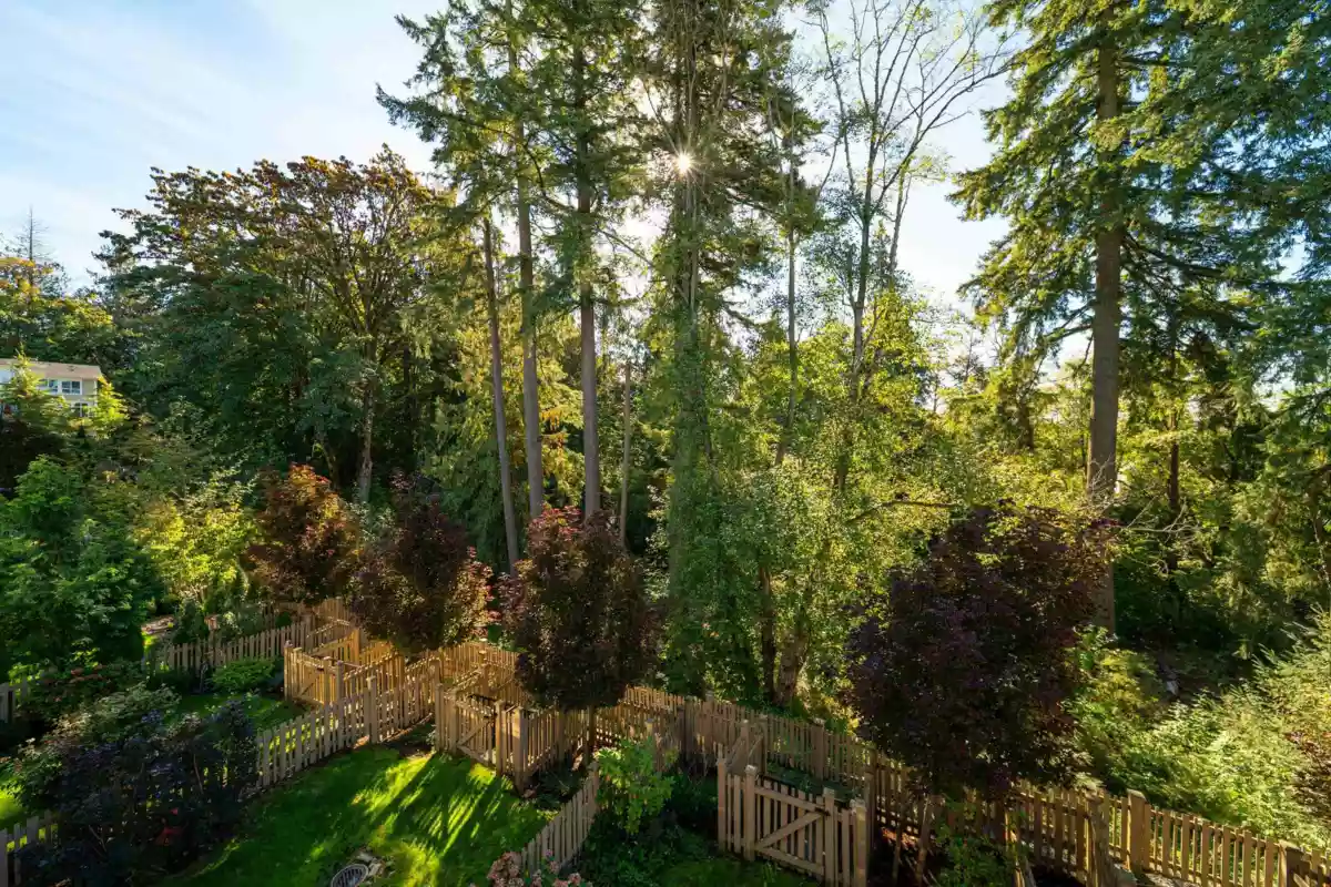 Pantry Photo of 66 24108 104 Avenue, Maple Ridge, BC