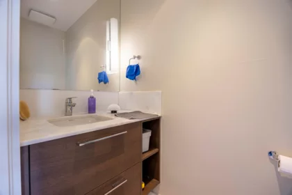 Powder Room Photo of 103 578 Emerson Street, Coquitlam, BC