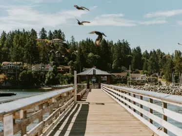 Playground / Recreational Area Near 510 Jordan Way, Gibsons, BC