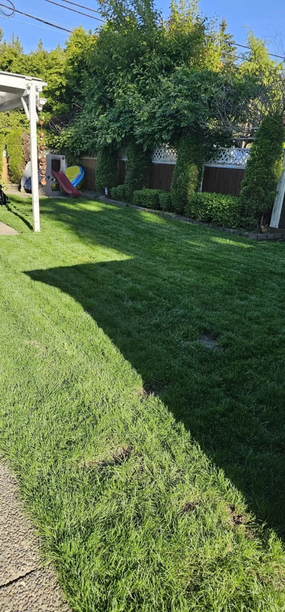 Outdoor Deck Photo of 27192 34 Avenue, Langley, BC