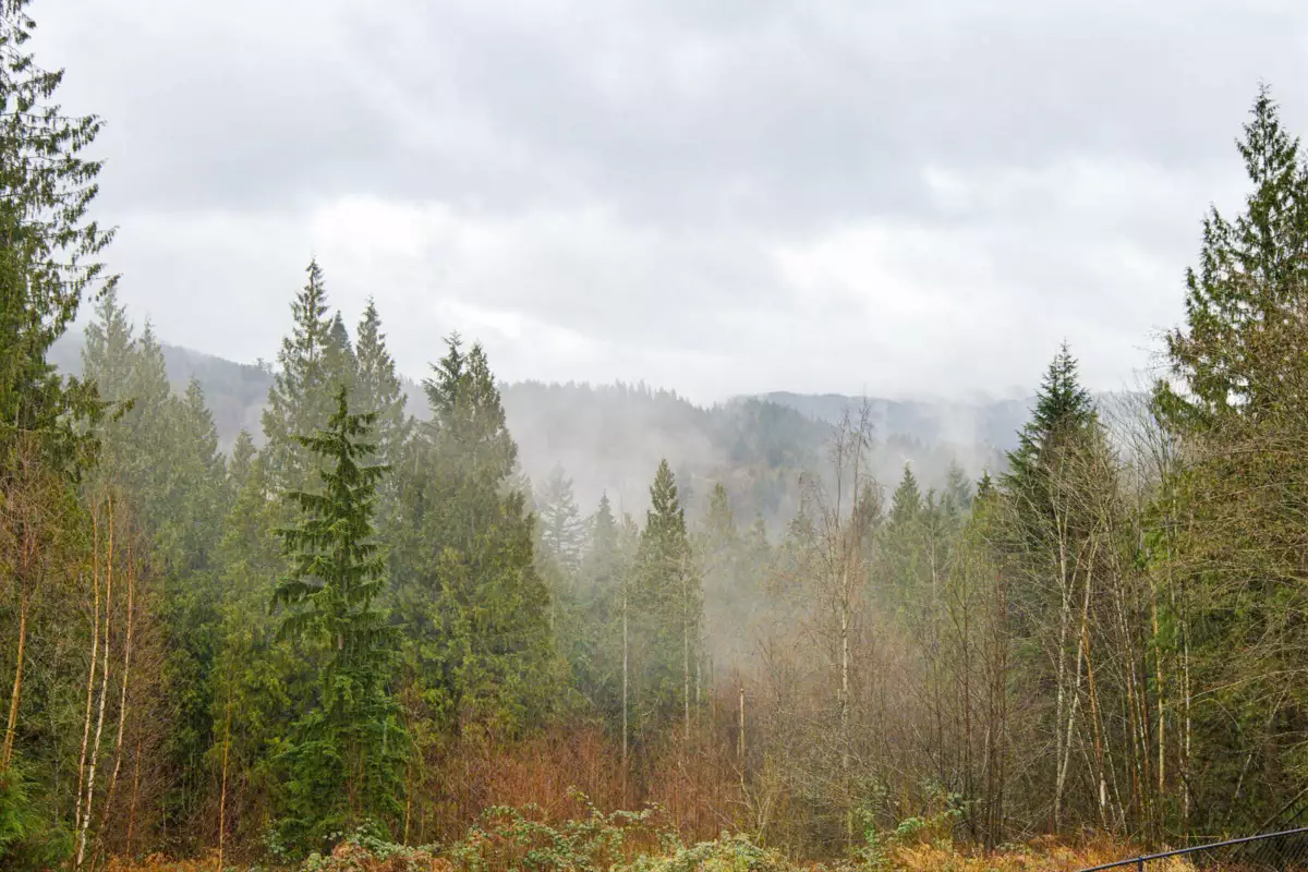 Garden / Landscaping Photo of 31221 Silverhill Avenue, Mission, BC