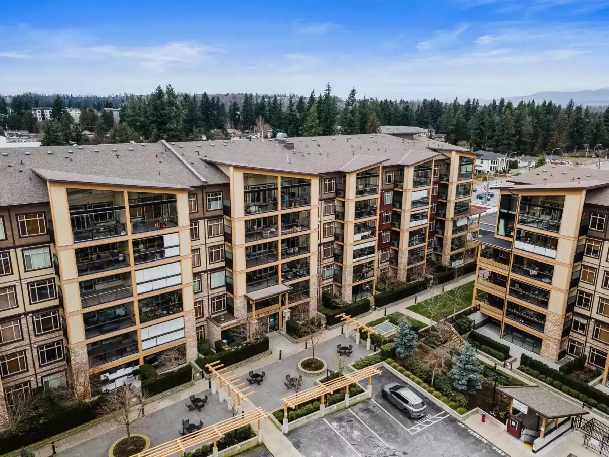 Backyard Photo of 109 2860 Trethewey Street, Abbotsford, BC