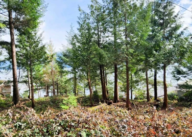 Bedroom 4 Photo of LOT 9 Collingwood Road, Keats Island, BC