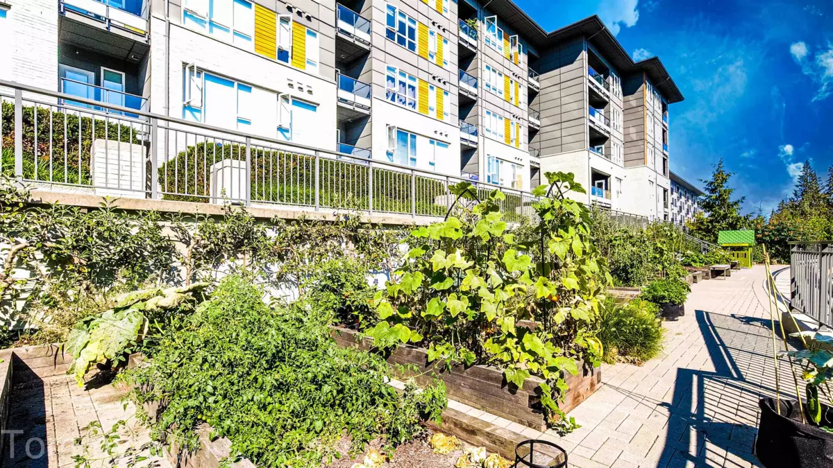 Living Room Photo of 110 9168 Slopes Mews, Burnaby, BC
