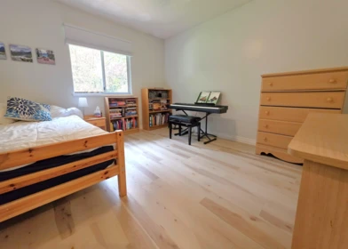 Loft / Bonus Room Photo of 8412 213th Street, Langley, BC