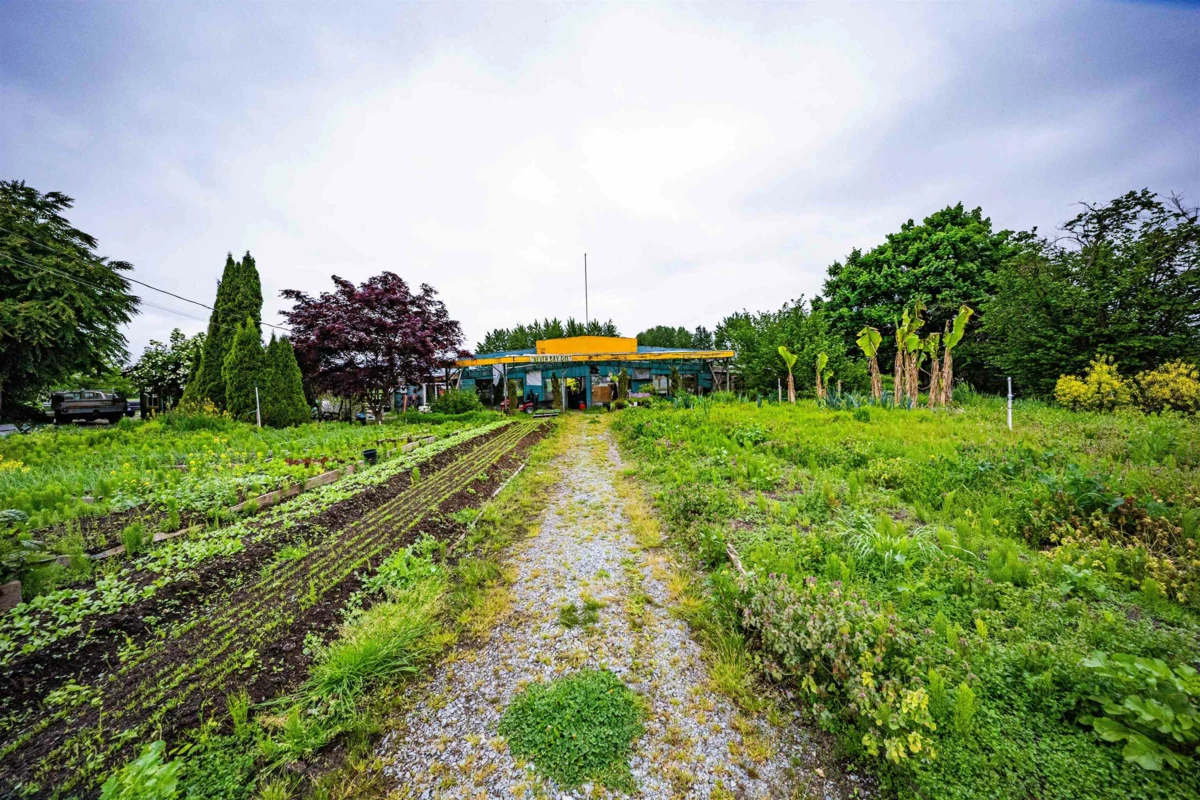 Exterior Rear Photo of 19449 Old Dewdney Trunk Road, Pitt Meadows, BC
