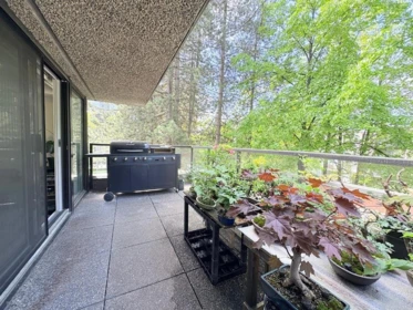 Basement Recreation Room Photo of T6903 3980 Carrigan Court, Burnaby, BC