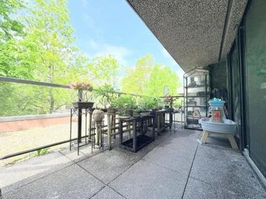 Loft / Bonus Room Photo of T6903 3980 Carrigan Court, Burnaby, BC