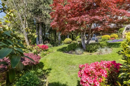 Outdoor Deck Photo of 2440 Queens Avenue, West Vancouver, BC