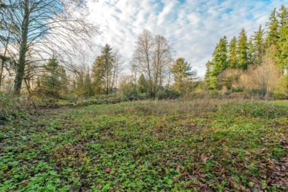 Playground / Recreational Area Near 18701 88 Avenue, Surrey, BC