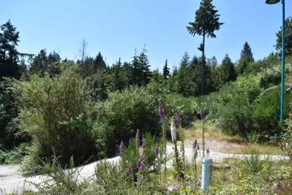 5828 Anchor Road, Sechelt, BC, Sechelt — Land for sale