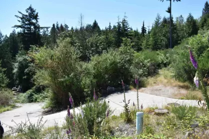 5828 Anchor Road, Sechelt, BC, Sechelt — Land for sale