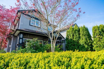 24330 102 Avenue, Maple Ridge, BC, Maple Ridge — Single Family Residence for sale