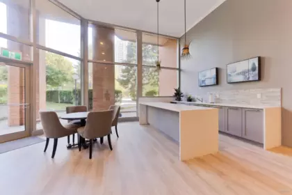 Basement Recreation Room Photo of 201 4350 Beresford Street, Burnaby, BC