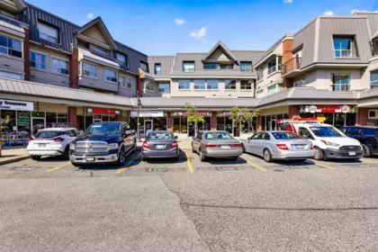 Street View Photo of 418 8880 202 Street, Langley, BC