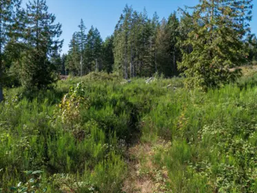 Pantry Photo of LOT 1 King Road, Gibsons, BC