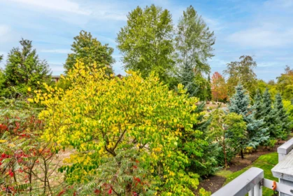 Staircase Photo of 306 6470 194 Street, Surrey, BC