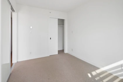 Walk-In Closet Photo of 1211 777 Richards Street, Vancouver, BC