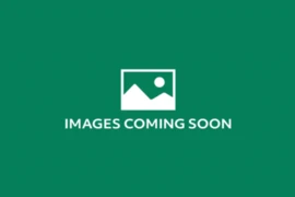 13 1299 Coast Meridian Road, Coquitlam, BC