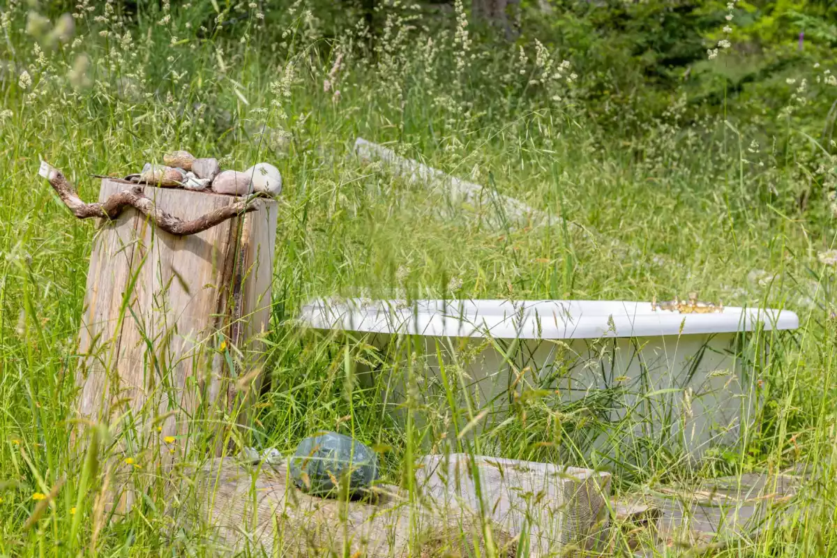 Basement Recreation Room Photo of 1-861 E Bluff Road, Galiano Island, BC