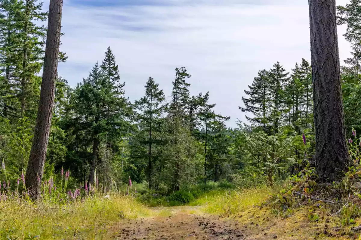 Entry Foyer Photo of 1-861 E Bluff Road, Galiano Island, BC