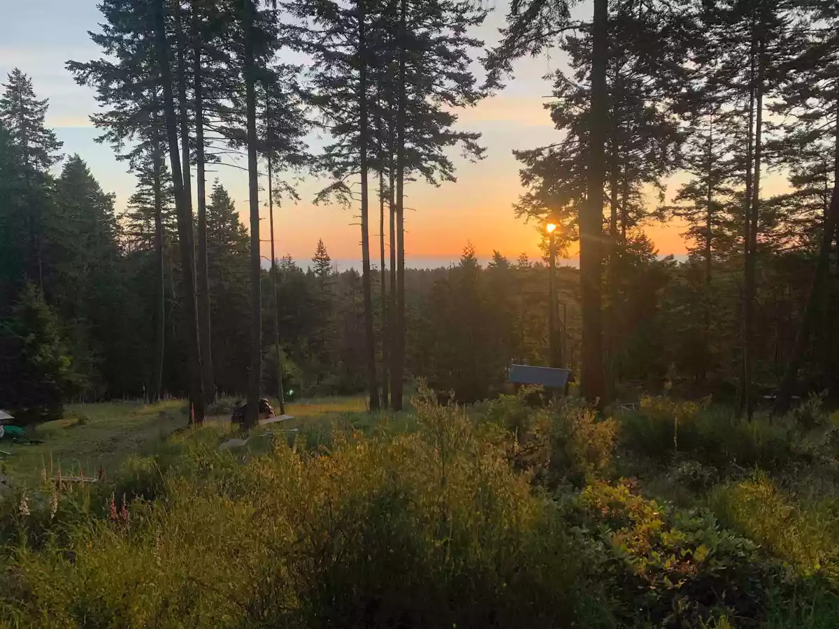 Garden / Landscaping Photo of 1-861 E Bluff Road, Galiano Island, BC