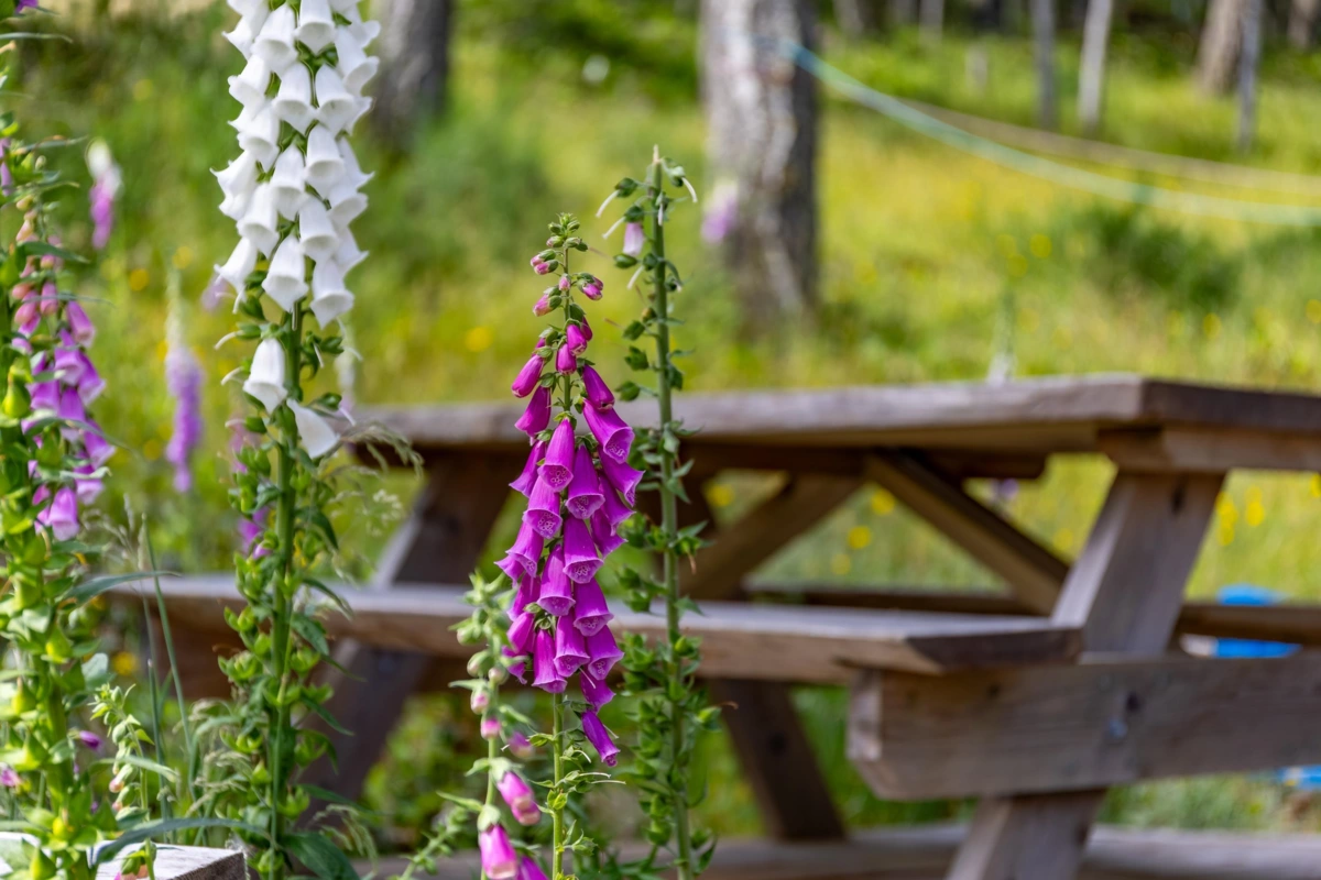 Laundry Room Photo of 1-861 E Bluff Road, Galiano Island, BC