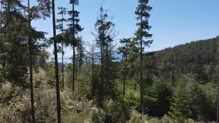 13803 Lee Road, Pender Harbour, BC, Pender harbour — Land for sale