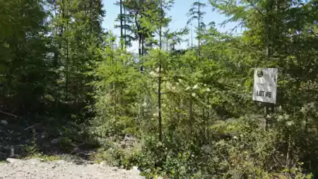 13803 Lee Road, Pender Harbour, BC, Pender harbour — Land for sale