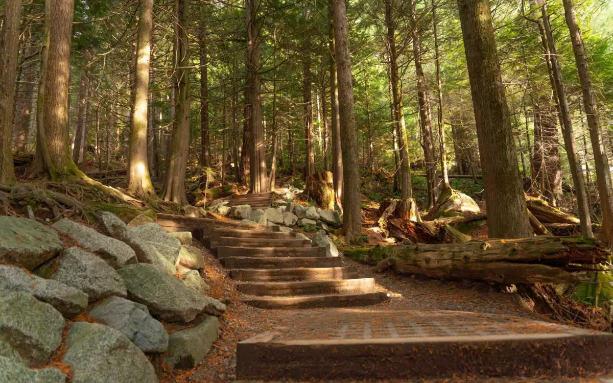Walk-In Closet Photo of 402 1365 Victoria Street, Squamish, BC