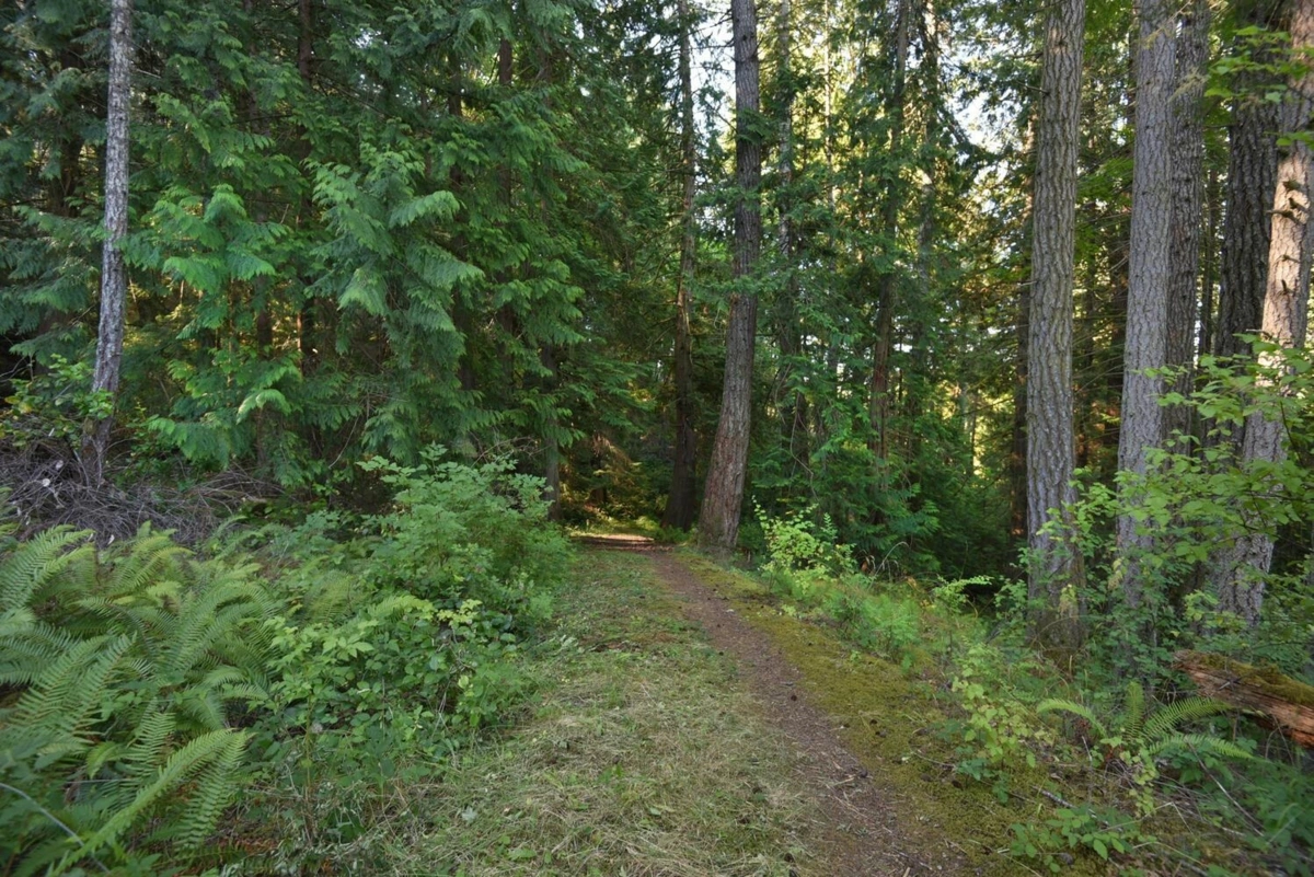 Basement Recreation Room Photo of LOT B Francis Peninsula Road, Madeira Park, BC