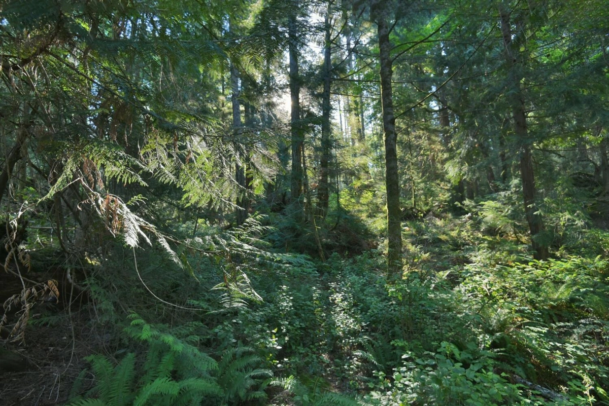 Laundry Room Photo of LOT B Francis Peninsula Road, Madeira Park, BC