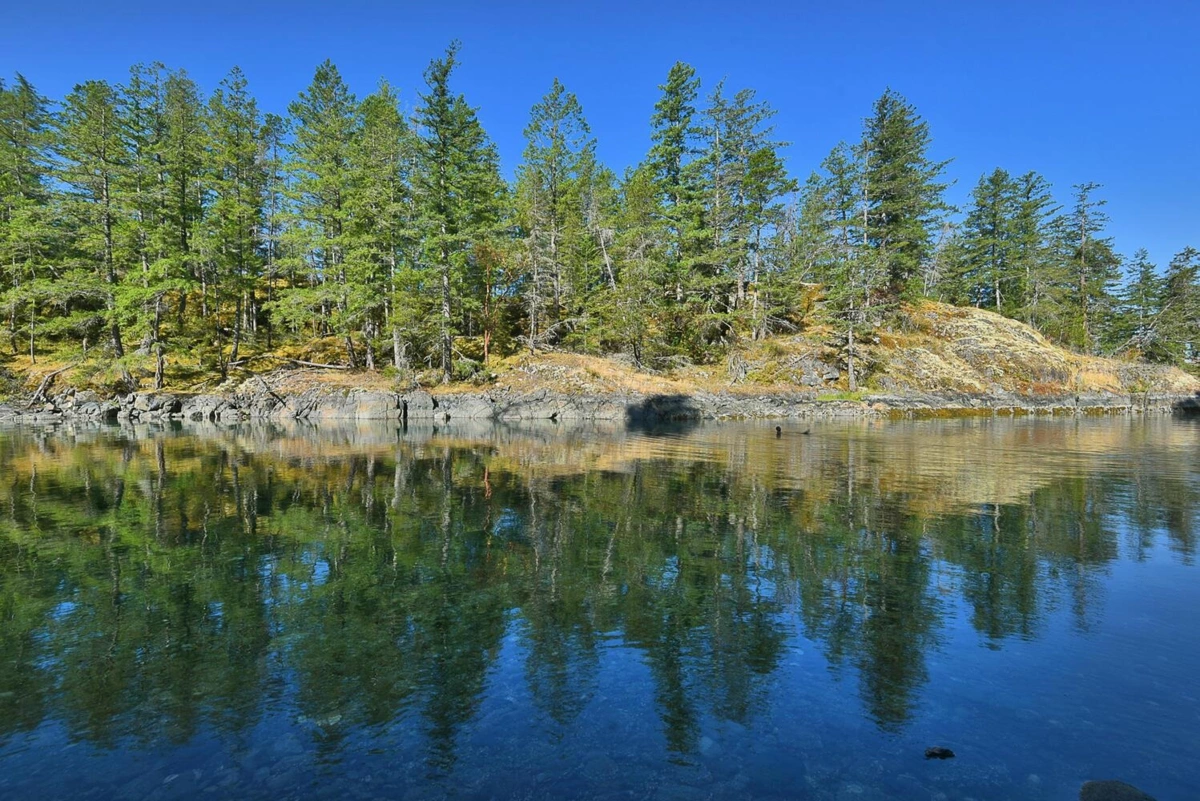 Living Room Photo of LOT B Francis Peninsula Road, Madeira Park, BC