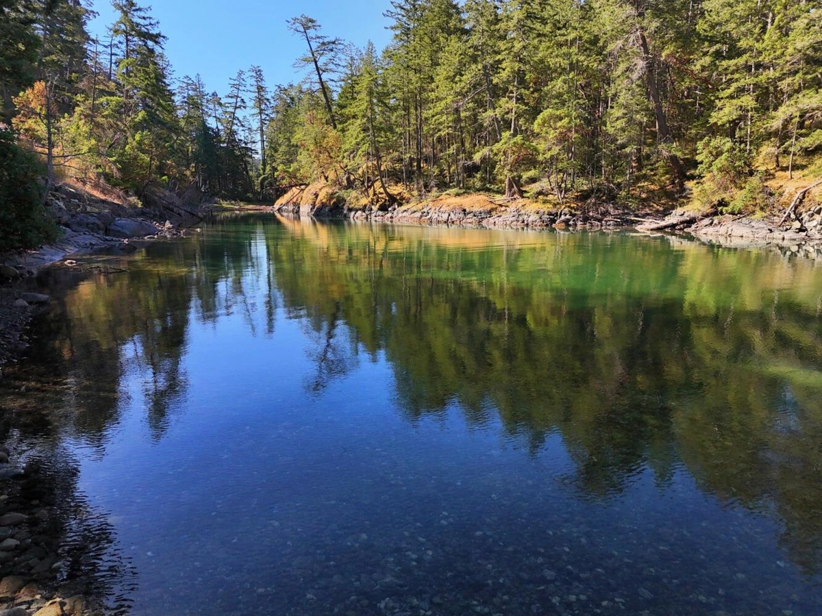 Loft / Bonus Room Photo of LOT B Francis Peninsula Road, Madeira Park, BC
