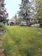 MLS R3035781