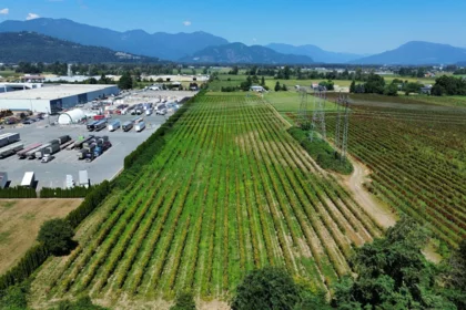 Front Yard Photo of 44705 Watson Road, Chilliwack, BC