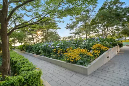 Outdoor Patio Photo of 1007 6951 Elmbridge Way, Richmond, BC