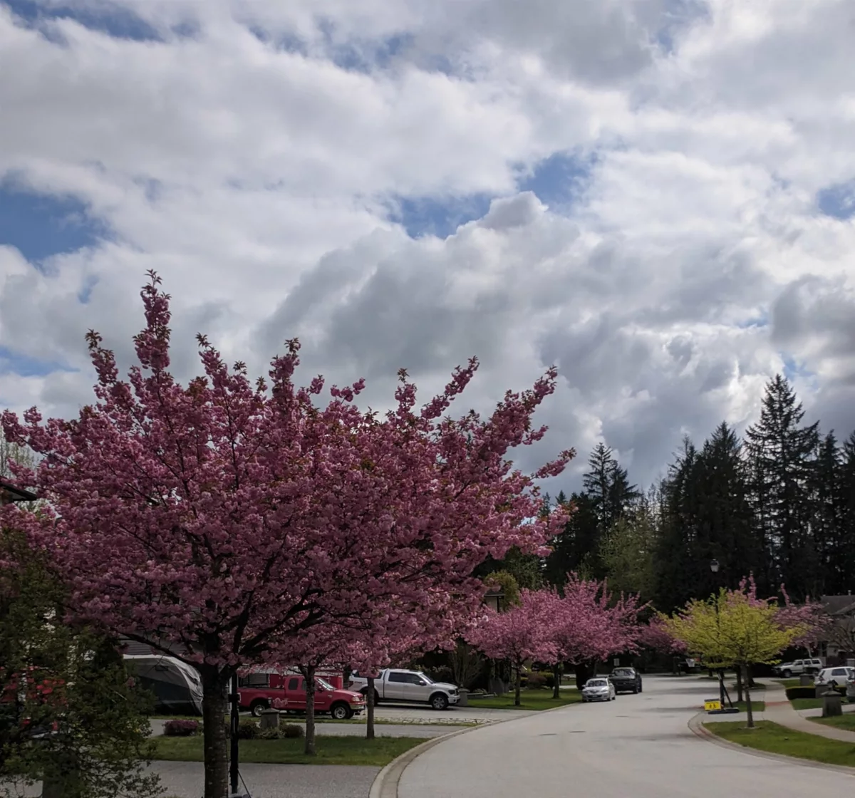 Aerial View of 13368 233 Street, Maple Ridge, BC