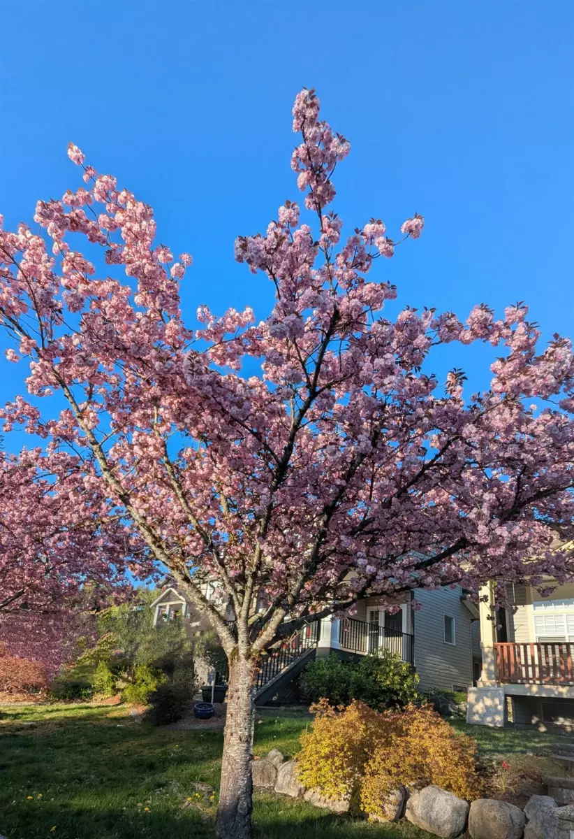 Hot Tub / Spa Photo of 13368 233 Street, Maple Ridge, BC