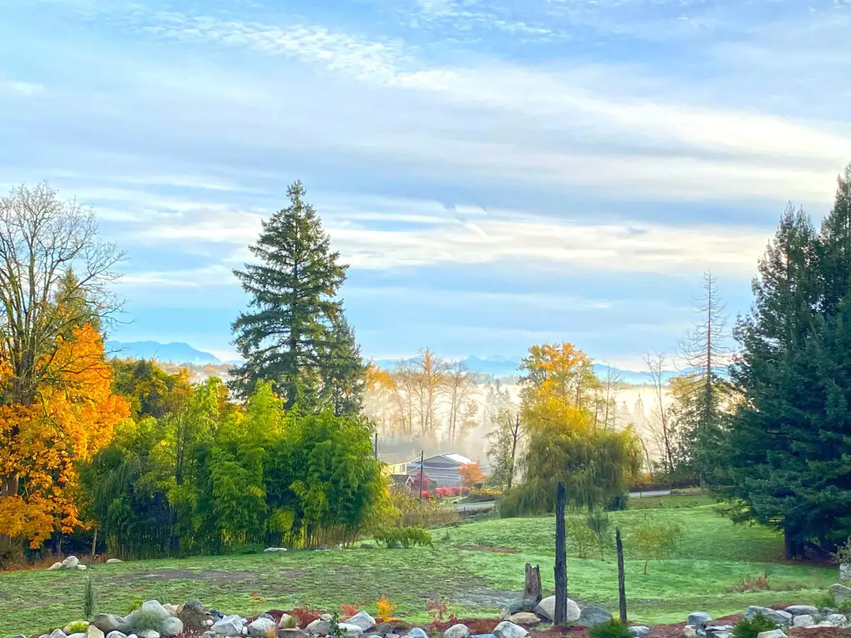 Living Room Photo of 205 210 Street, Langley, BC