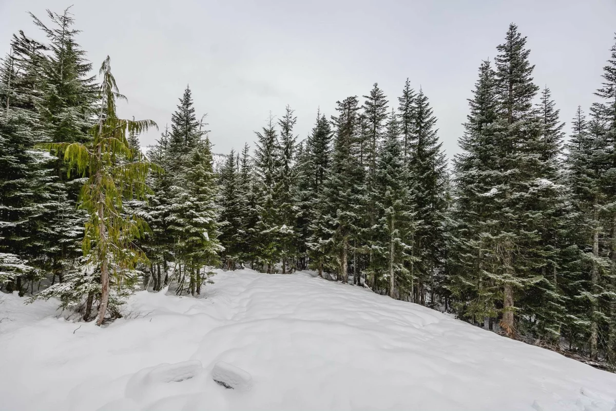 Office / Den Photo of 20788 Edelweiss Drive, Agassiz, BC