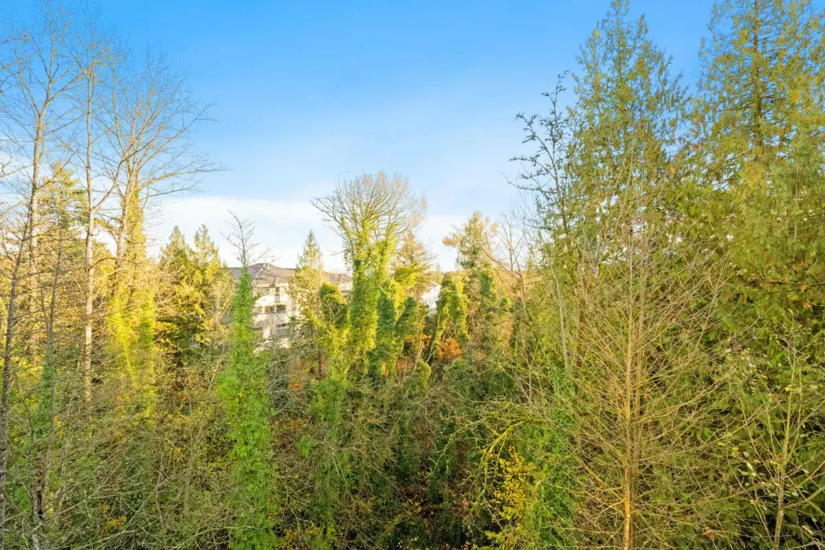 Community Amenities Photo (Clubhouse) of 408 11667 Haney Bypass, Maple Ridge, BC