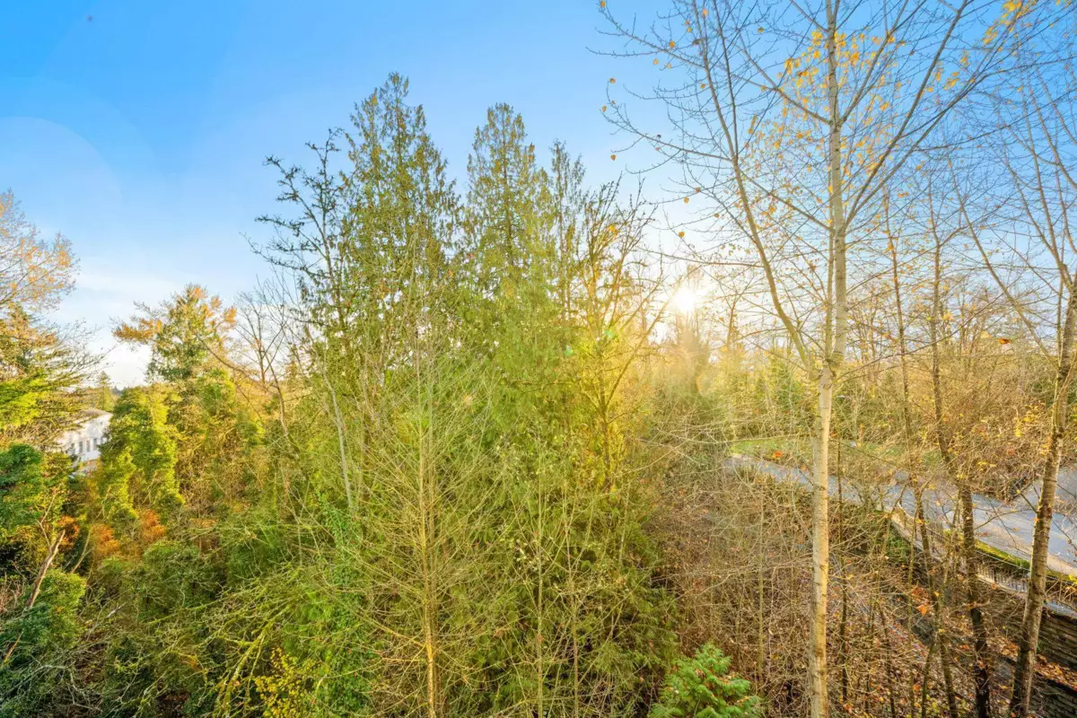 Fitness Center Photo Near 408 11667 Haney Bypass, Maple Ridge, BC