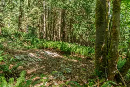 Bedroom 4 Photo of 12882 Stone Road, Pender Harbour, BC