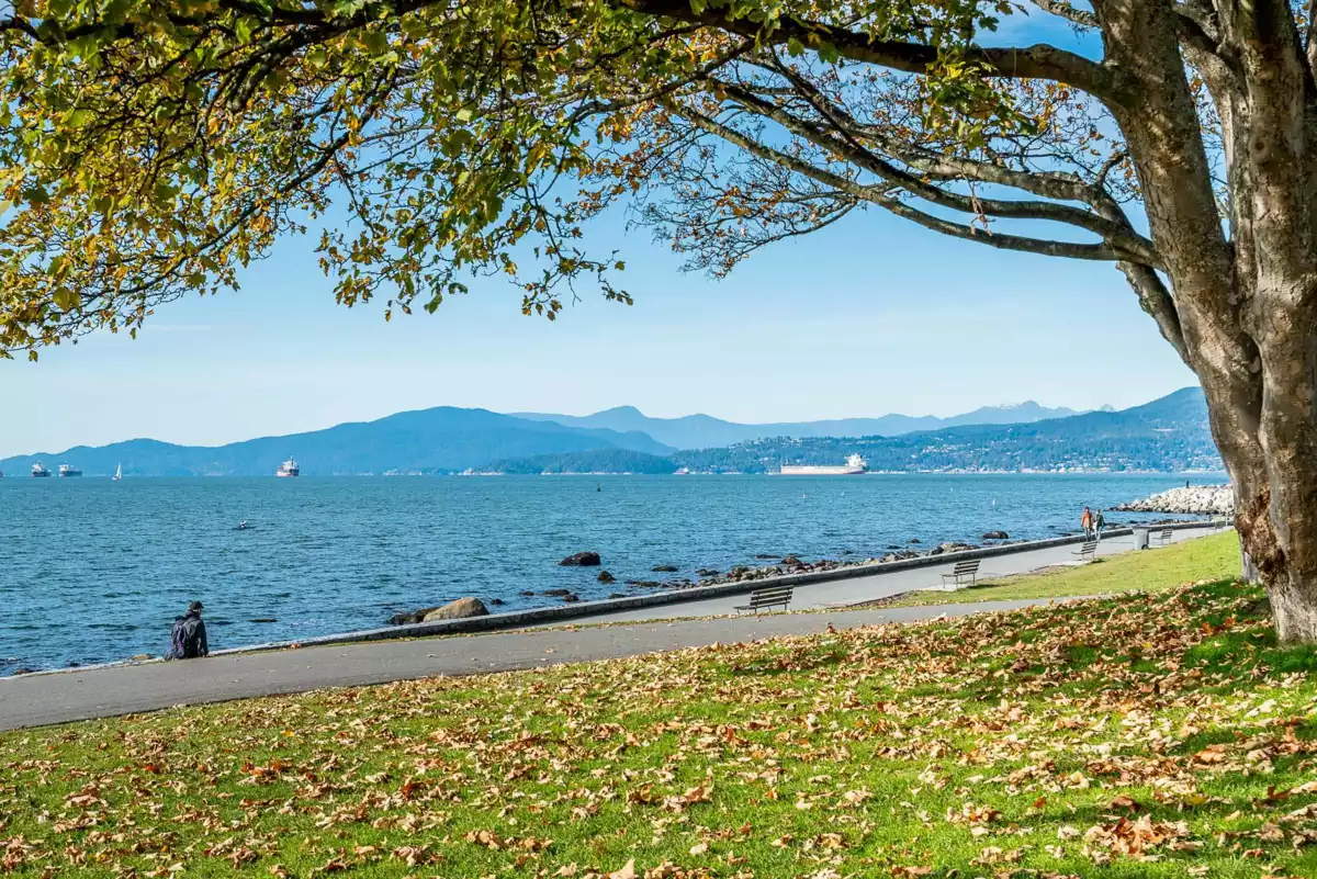 Swimming Pool Photo of 303 1345 Burnaby Street, Vancouver, BC