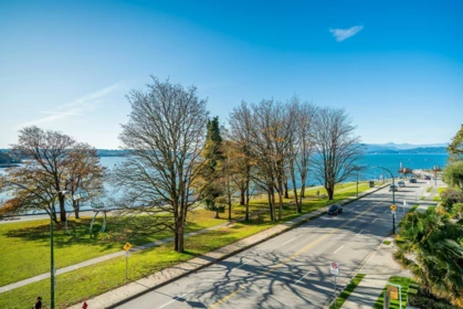 Garden / Landscaping Photo of 303 1345 Burnaby Street, Vancouver, BC